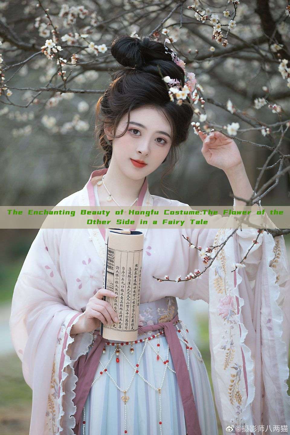 The Enchanting Beauty of Hongfu Costume:The Flower of the Other Side in a Fairy Tale