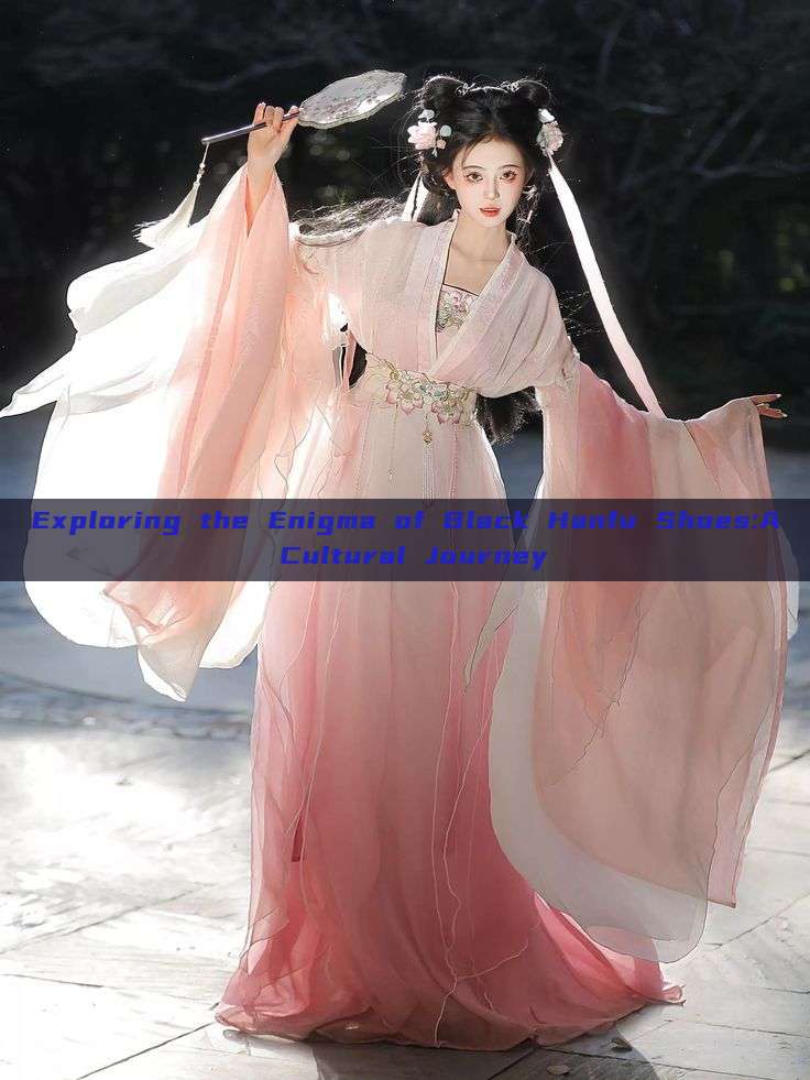 Exploring the Enigma of Black Hanfu Shoes:A Cultural Journey