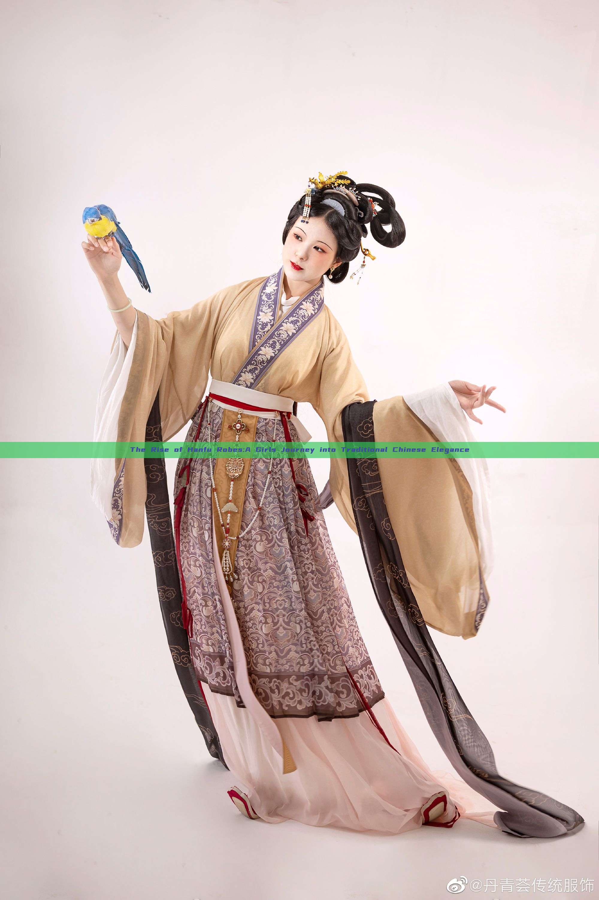 The Rise of Hanfu Robes:A Girls Journey into Traditional Chinese Elegance The Rise of Hanfu Robes:A Girls Journey into Traditional Chinese Elegance