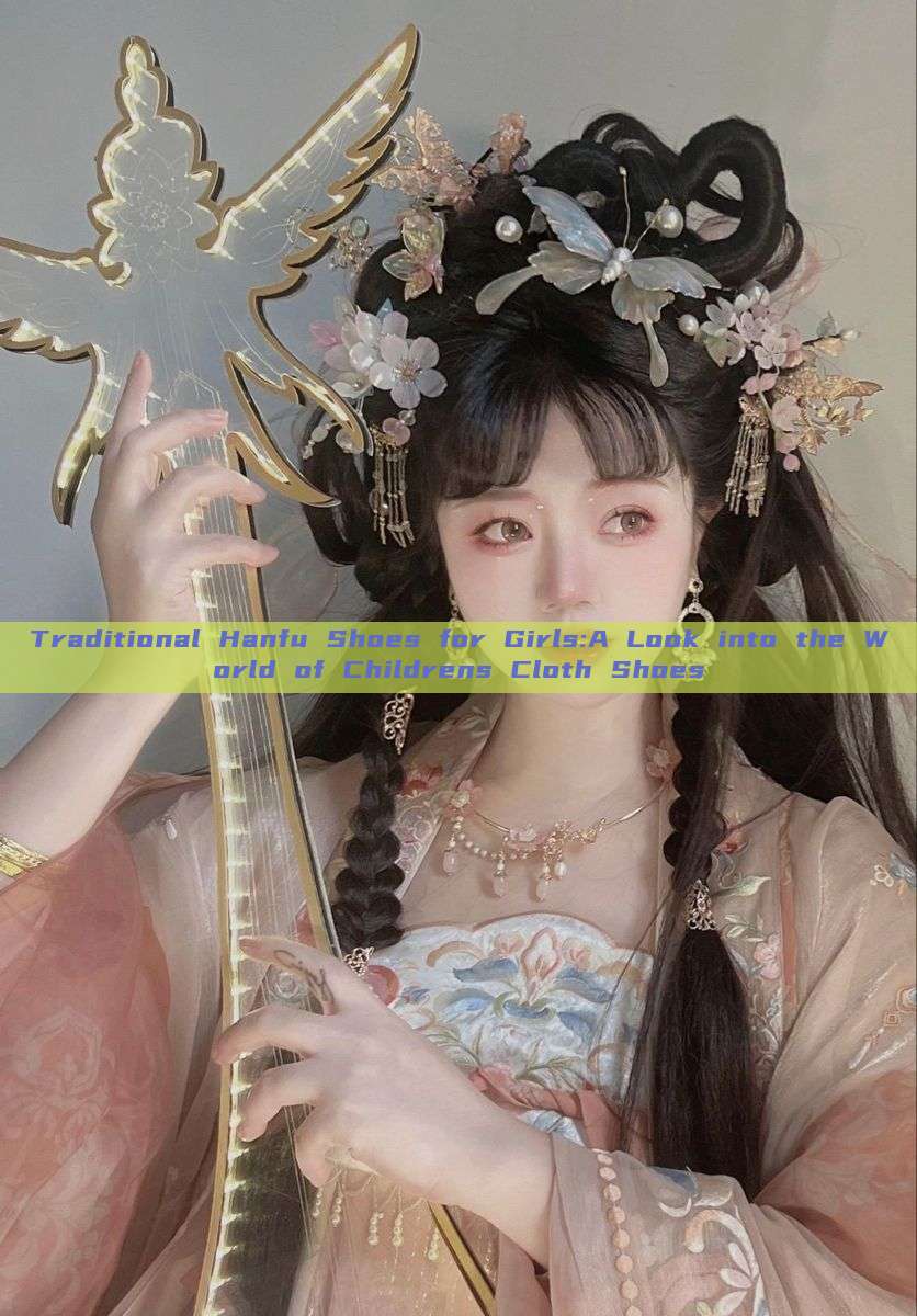 Traditional Hanfu Shoes for Girls:A Look into the World of Childrens Cloth Shoes Traditional Hanfu Shoes for Girls:A Look into the World of Childrens Cloth Shoes