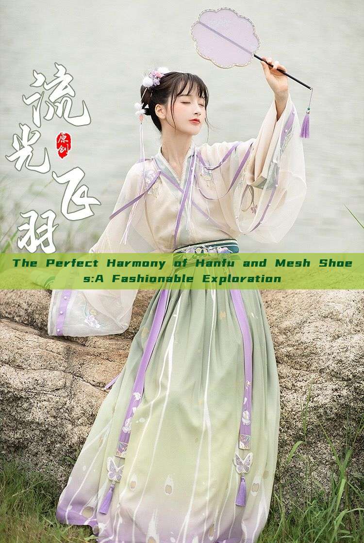 The Perfect Harmony of Hanfu and Mesh Shoes:A Fashionable Exploration The Perfect Harmony of Hanfu and Mesh Shoes:A Fashionable Exploration