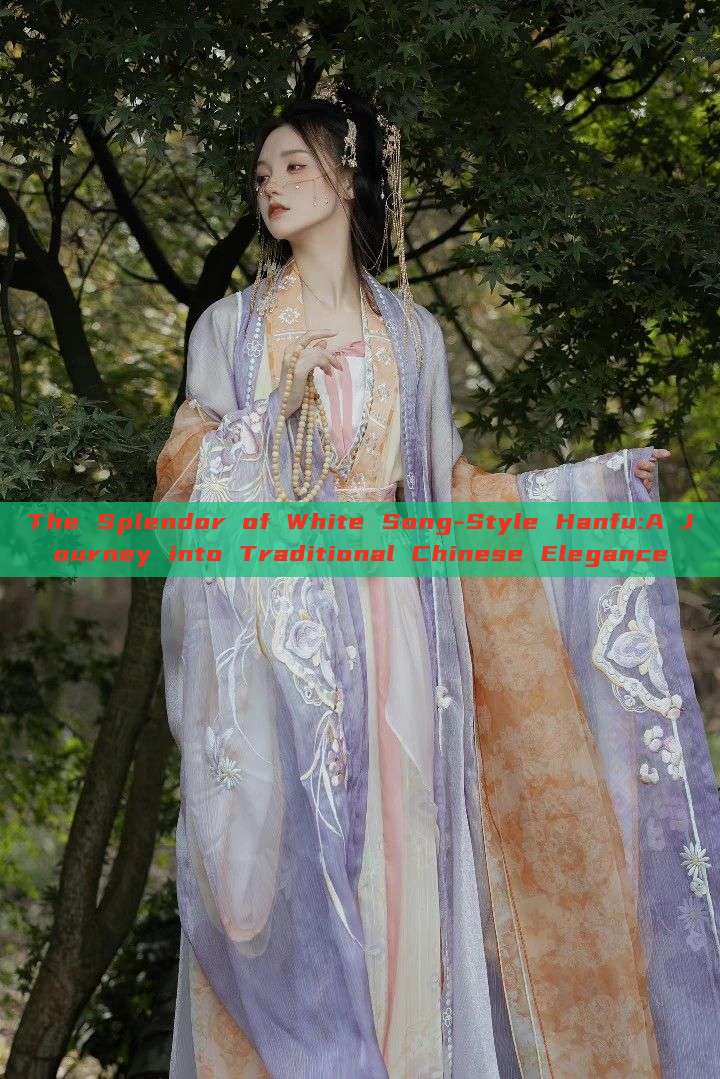 The Splendor of White Song-Style Hanfu:A Journey into Traditional Chinese Elegance The Splendor of White Song-Style Hanfu:A Journey into Traditional Chinese Elegance