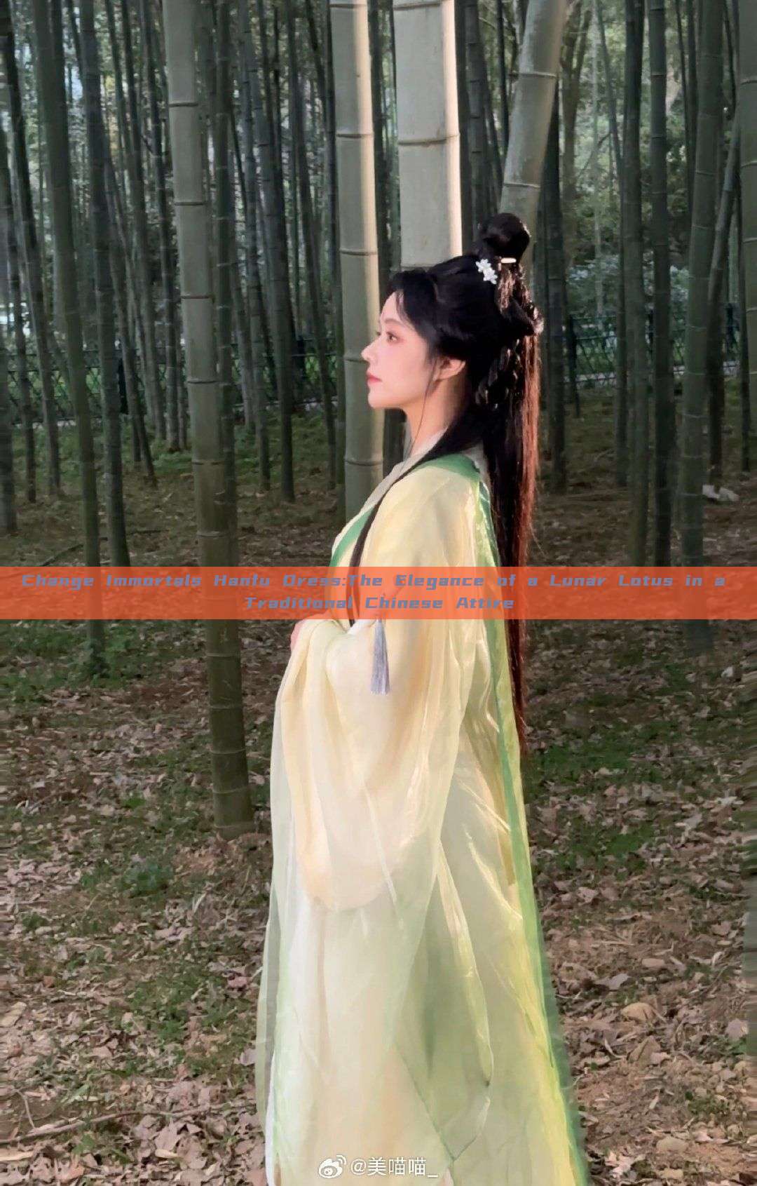 Change Immortals Hanfu Dress:The Elegance of a Lunar Lotus in a Traditional Chinese Attire
