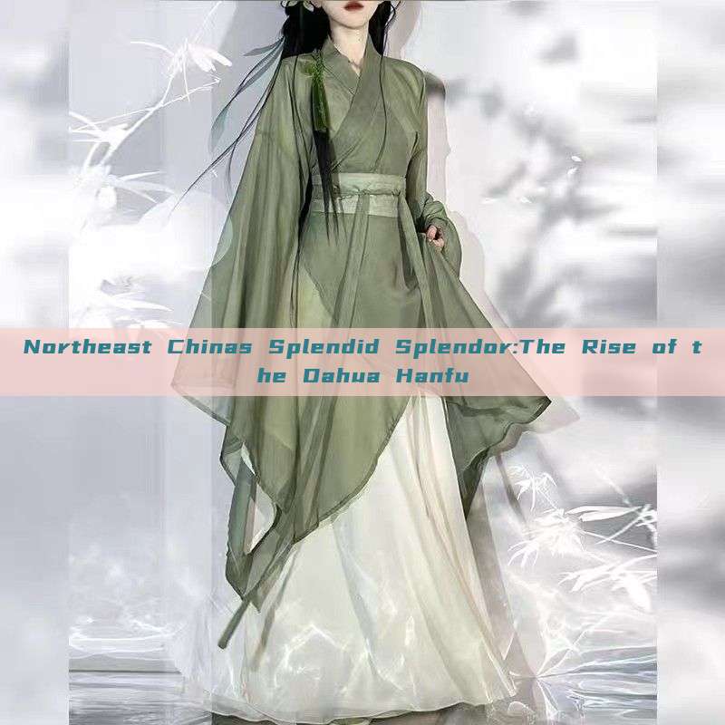 Northeast Chinas Splendid Splendor:The Rise of the Dahua Hanfu Northeast Chinas Splendid Splendor:The Rise of the Dahua Hanfu