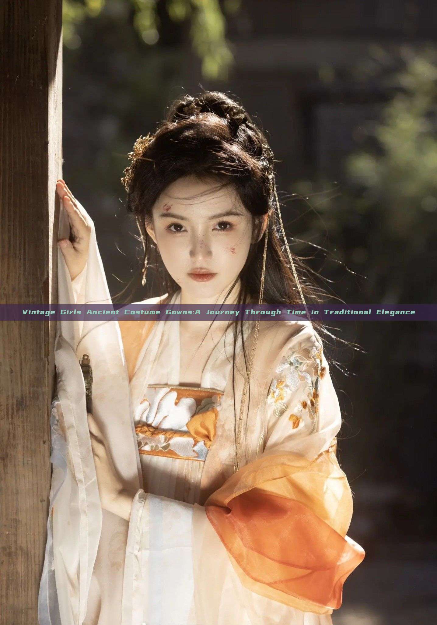 Vintage Girls Ancient Costume Gowns:A Journey Through Time in Traditional Elegance Vintage Girls Ancient Costume Gowns:A Journey Through Time in Traditional Elegance