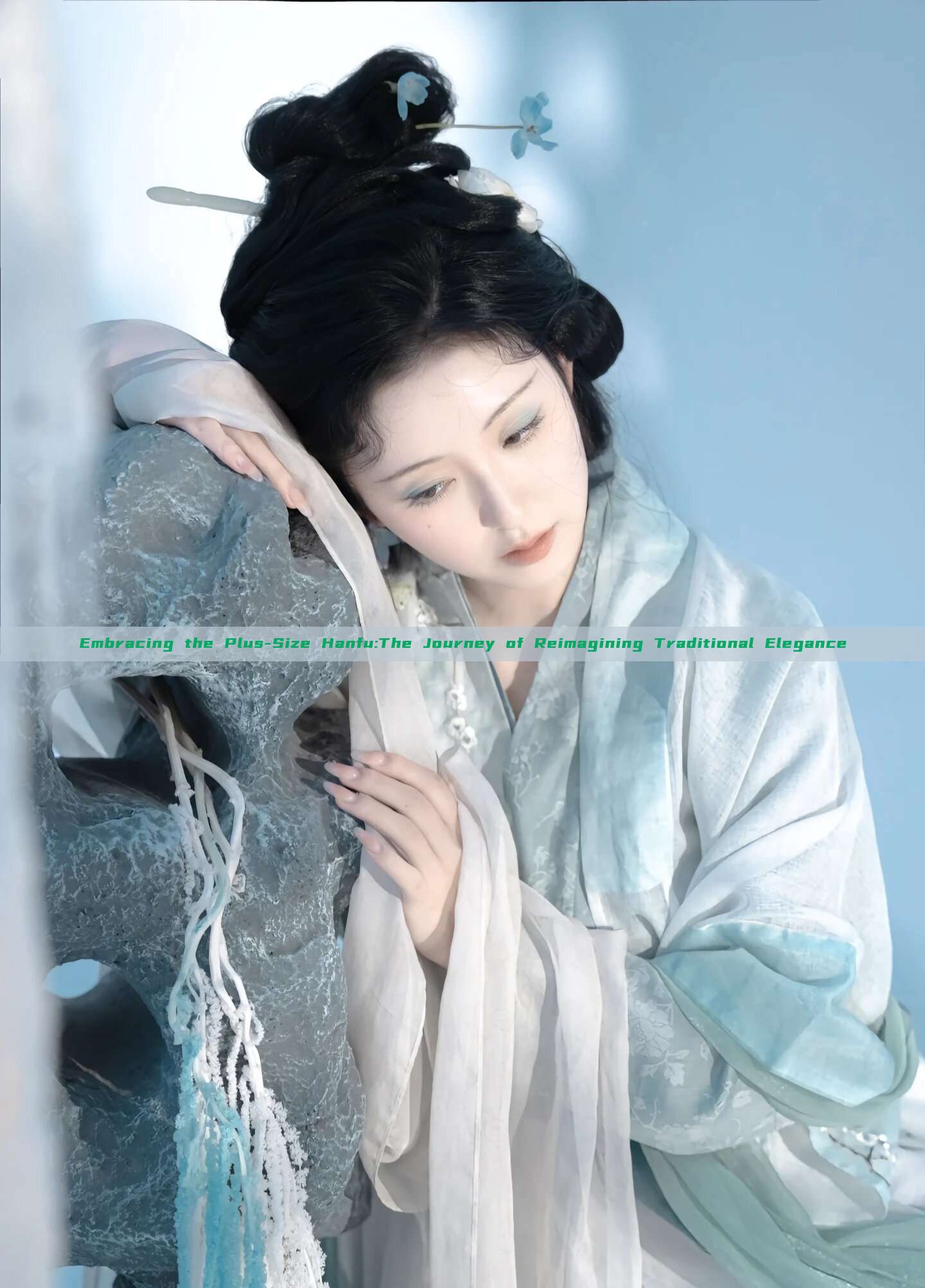 Embracing the Plus-Size Hanfu:The Journey of Reimagining Traditional Elegance Embracing the Plus-Size Hanfu:The Journey of Reimagining Traditional Elegance