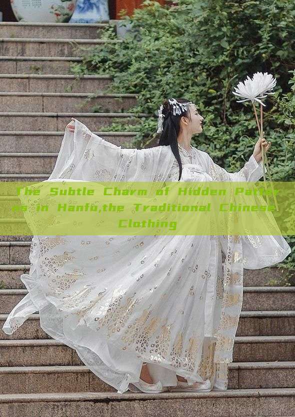 The Subtle Charm of Hidden Patterns in Hanfu,the Traditional Chinese Clothing The Subtle Charm of Hidden Patterns in Hanfu,the Traditional Chinese Clothing