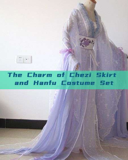 The Charm of Chezi Skirt and Hanfu Costume Set The Charm of Chezi Skirt and Hanfu Costume Set