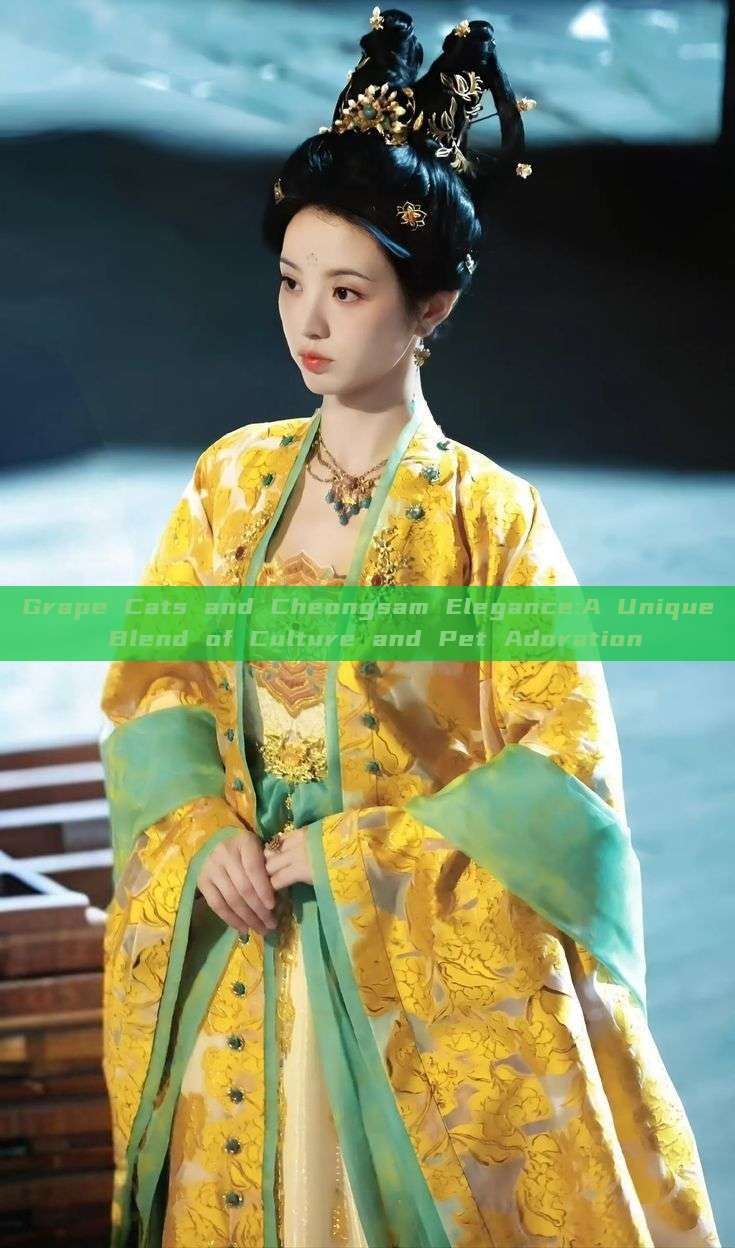 Grape Cats and Cheongsam Elegance:A Unique Blend of Culture and Pet Adoration Grape Cats and Cheongsam Elegance:A Unique Blend of Culture and Pet Adoration