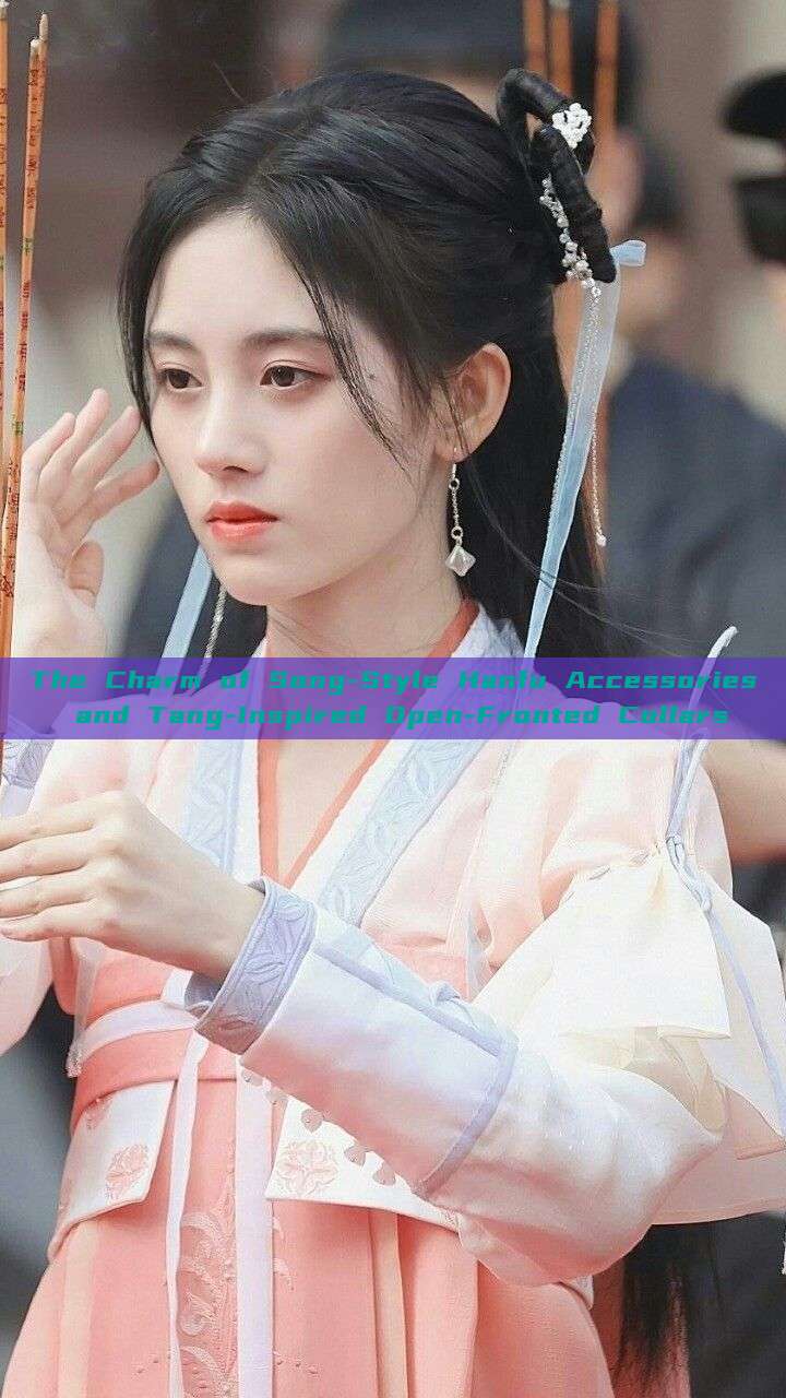 The Charm of Song-Style Hanfu Accessories and Tang-Inspired Open-Fronted Collars The Charm of Song-Style Hanfu Accessories and Tang-Inspired Open-Fronted Collars