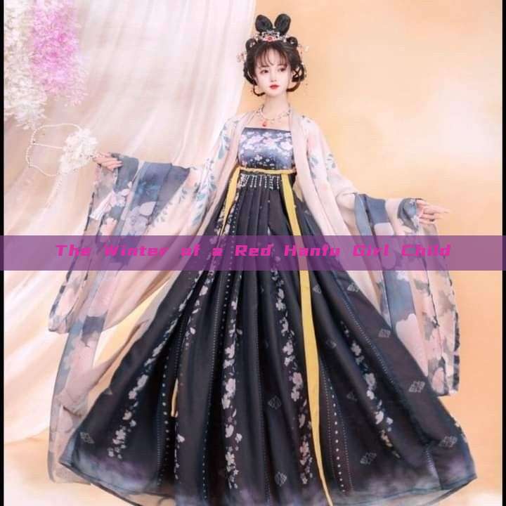 The Winter of a Red Hanfu Girl Child The Winter of a Red Hanfu Girl Child
