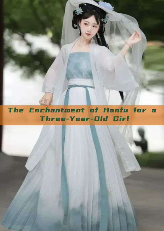 The Enchantment of Hanfu for a Three-Year-Old Girl The Enchantment of Hanfu for a Three-Year-Old Girl