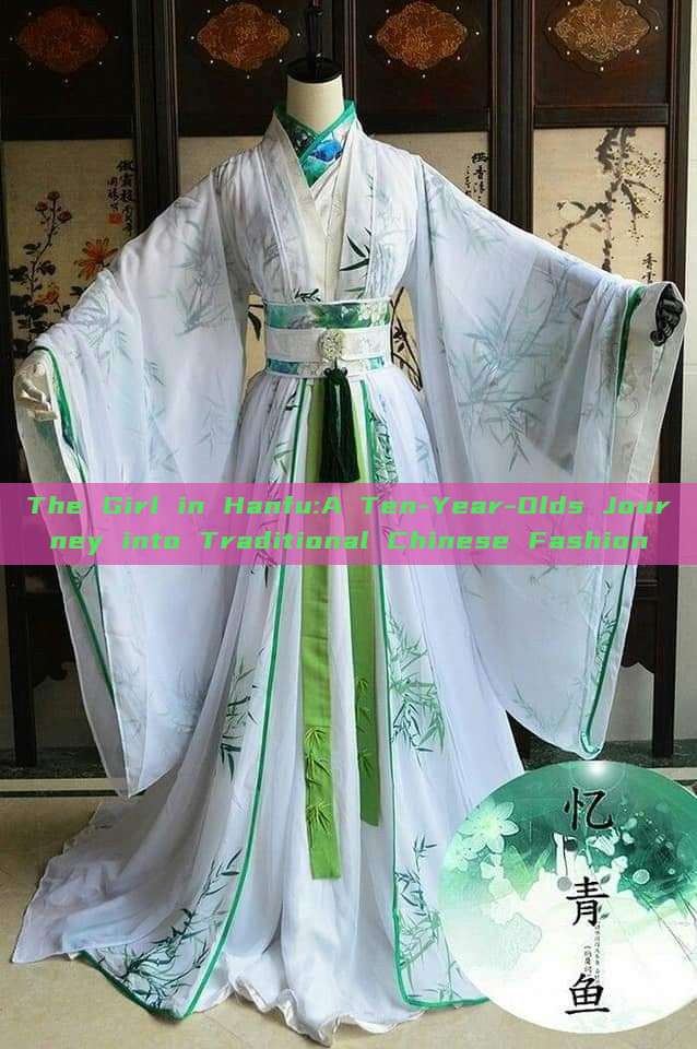 The Girl in Hanfu:A Ten-Year-Olds Journey into Traditional Chinese Fashion The Girl in Hanfu:A Ten-Year-Olds Journey into Traditional Chinese Fashion