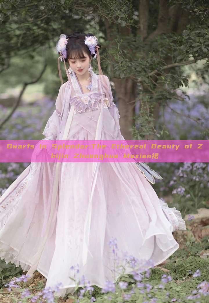 Dwarfs in Splendor:The Ethereal Beauty of Zhijin Zhuanghua Maxian裙 Dwarfs in Splendor:The Ethereal Beauty of Zhijin Zhuanghua Maxian裙