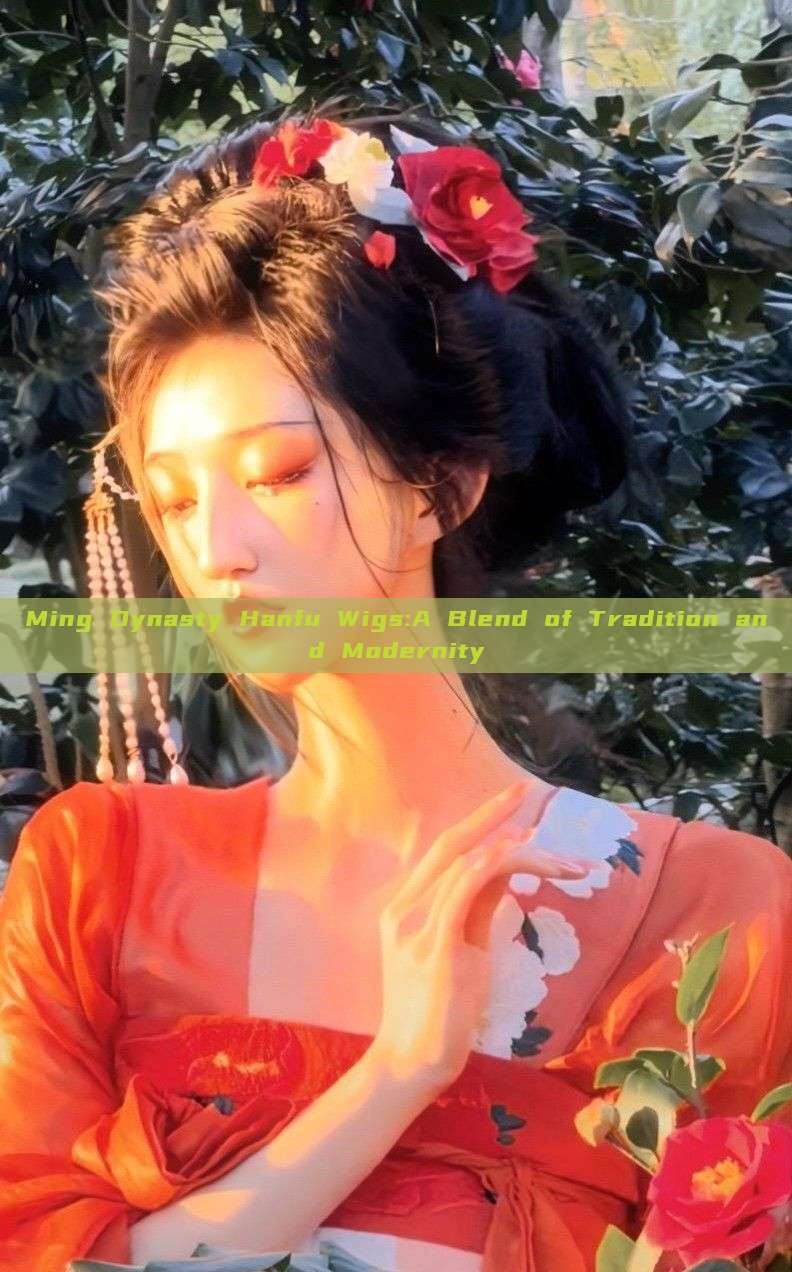 Ming Dynasty Hanfu Wigs:A Blend of Tradition and Modernity Ming Dynasty Hanfu Wigs:A Blend of Tradition and Modernity