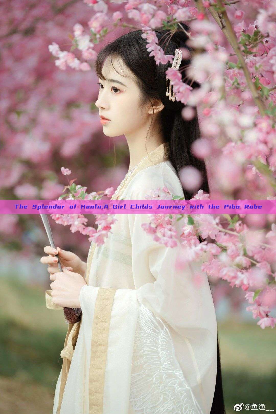 The Splendor of Hanfu:A Girl Childs Journey with the Pibo Robe The Splendor of Hanfu:A Girl Childs Journey with the Pibo Robe