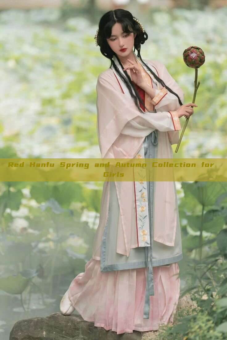 Red Hanfu Spring and Autumn Collection for Girls Red Hanfu Spring and Autumn Collection for Girls