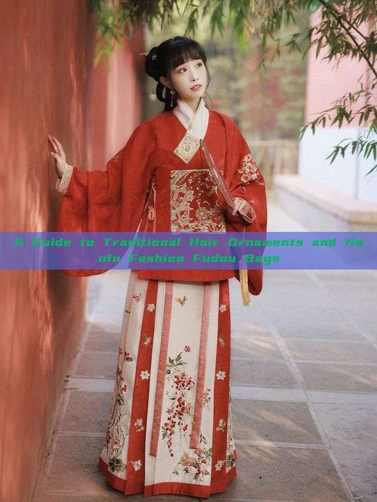 A Guide to Traditional Hair Ornaments and Hanfu Fashion Fudou Bags A Guide to Traditional Hair Ornaments and Hanfu Fashion Fudou Bags