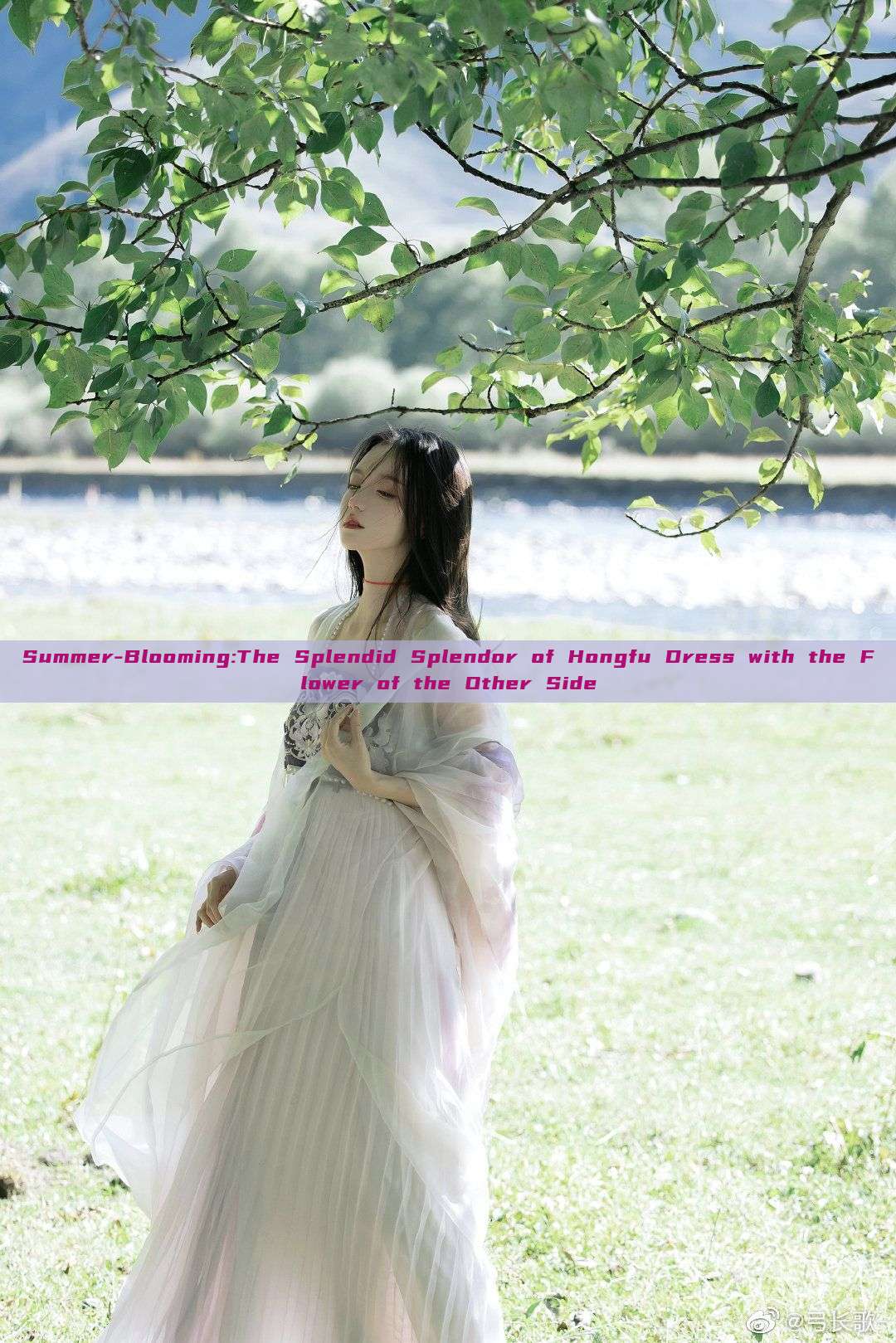 Summer-Blooming:The Splendid Splendor of Hongfu Dress with the Flower of the Other Side Summer-Blooming:The Splendid Splendor of Hongfu Dress with the Flower of the Other Side