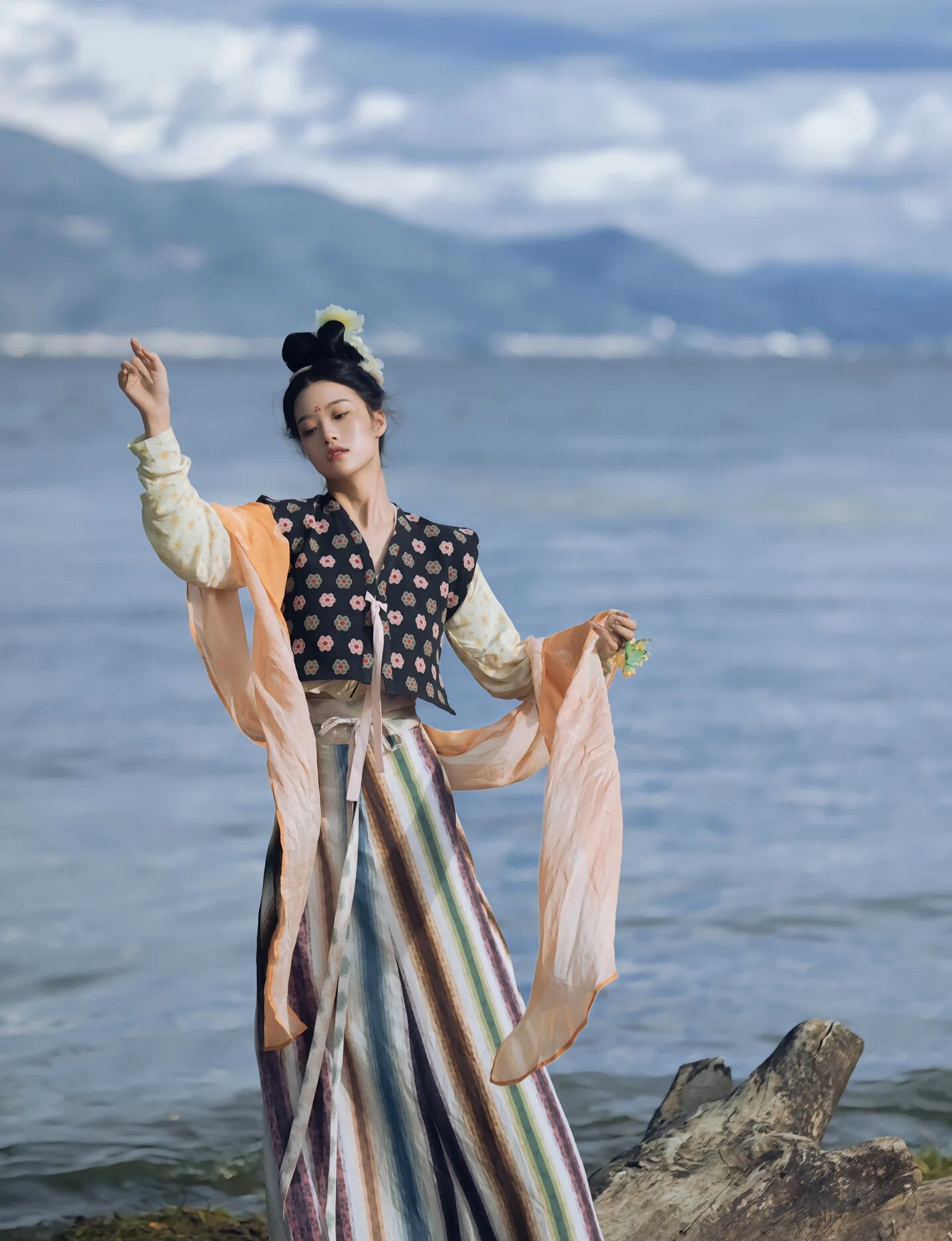 Elegance in Harmony:The Splendor of Hanfu in the Age of Splendid Detail