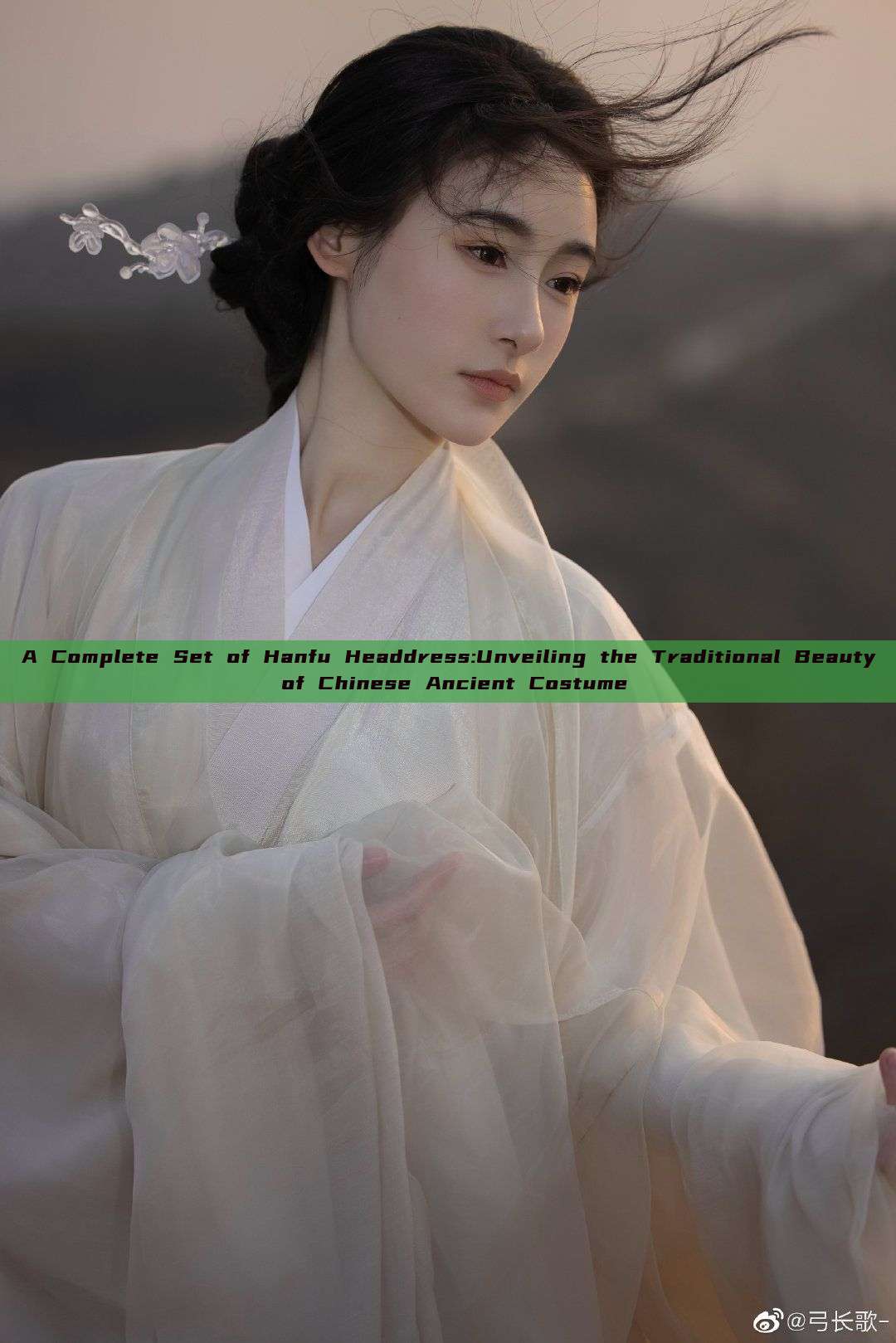 A Complete Set of Hanfu Headdress:Unveiling the Traditional Beauty of Chinese Ancient Costume A Complete Set of Hanfu Headdress:Unveiling the Traditional Beauty of Chinese Ancient Costume