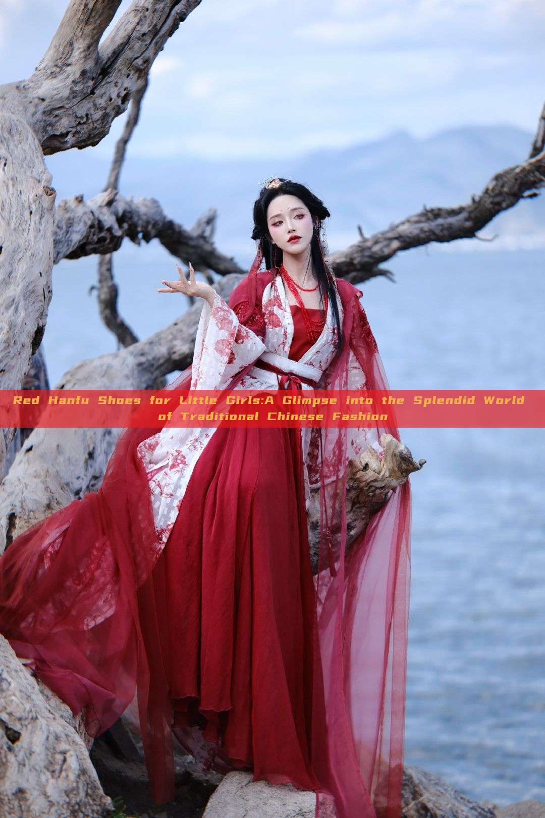 Red Hanfu Shoes for Little Girls:A Glimpse into the Splendid World of Traditional Chinese Fashion Red Hanfu Shoes for Little Girls:A Glimpse into the Splendid World of Traditional Chinese Fashion