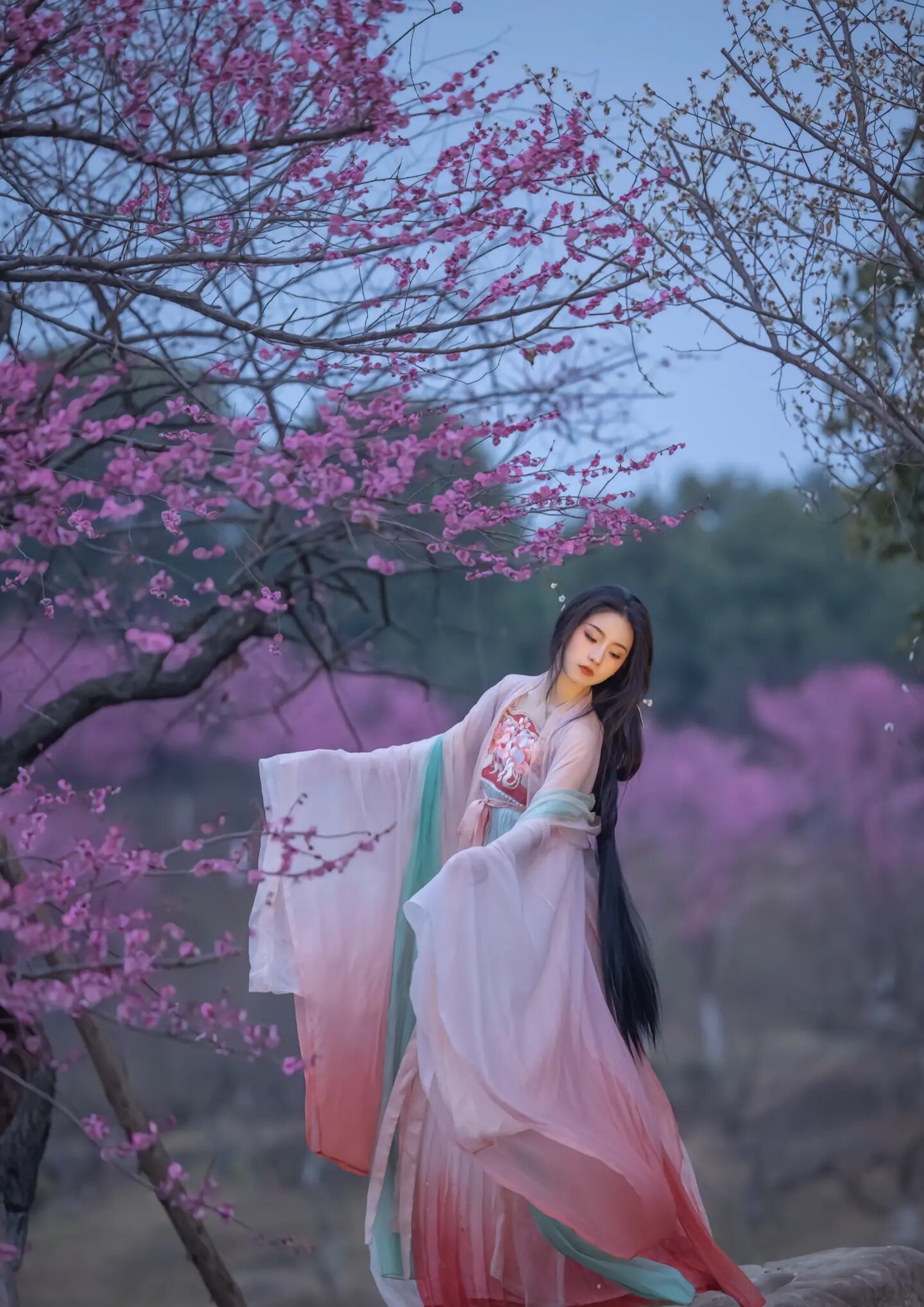 The Complete Guide to Traditional Chinese Face-Covering Hanfu Accessories The Complete Guide to Traditional Chinese Face-Covering Hanfu Accessories