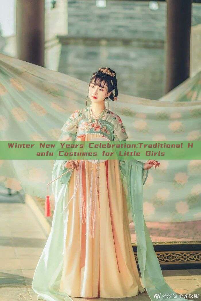 Winter New Years Celebration:Traditional Hanfu Costumes for Little Girls Winter New Years Celebration:Traditional Hanfu Costumes for Little Girls