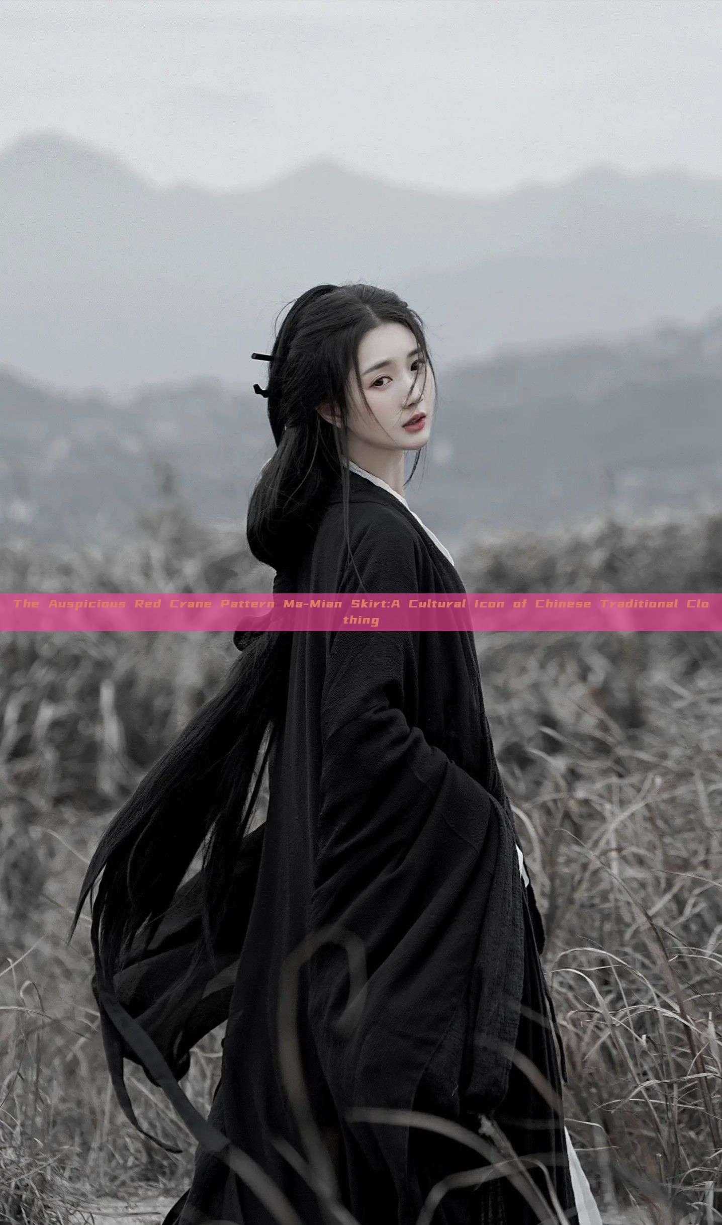 The Auspicious Red Crane Pattern Ma-Mian Skirt:A Cultural Icon of Chinese Traditional Clothing The Auspicious Red Crane Pattern Ma-Mian Skirt:A Cultural Icon of Chinese Traditional Clothing