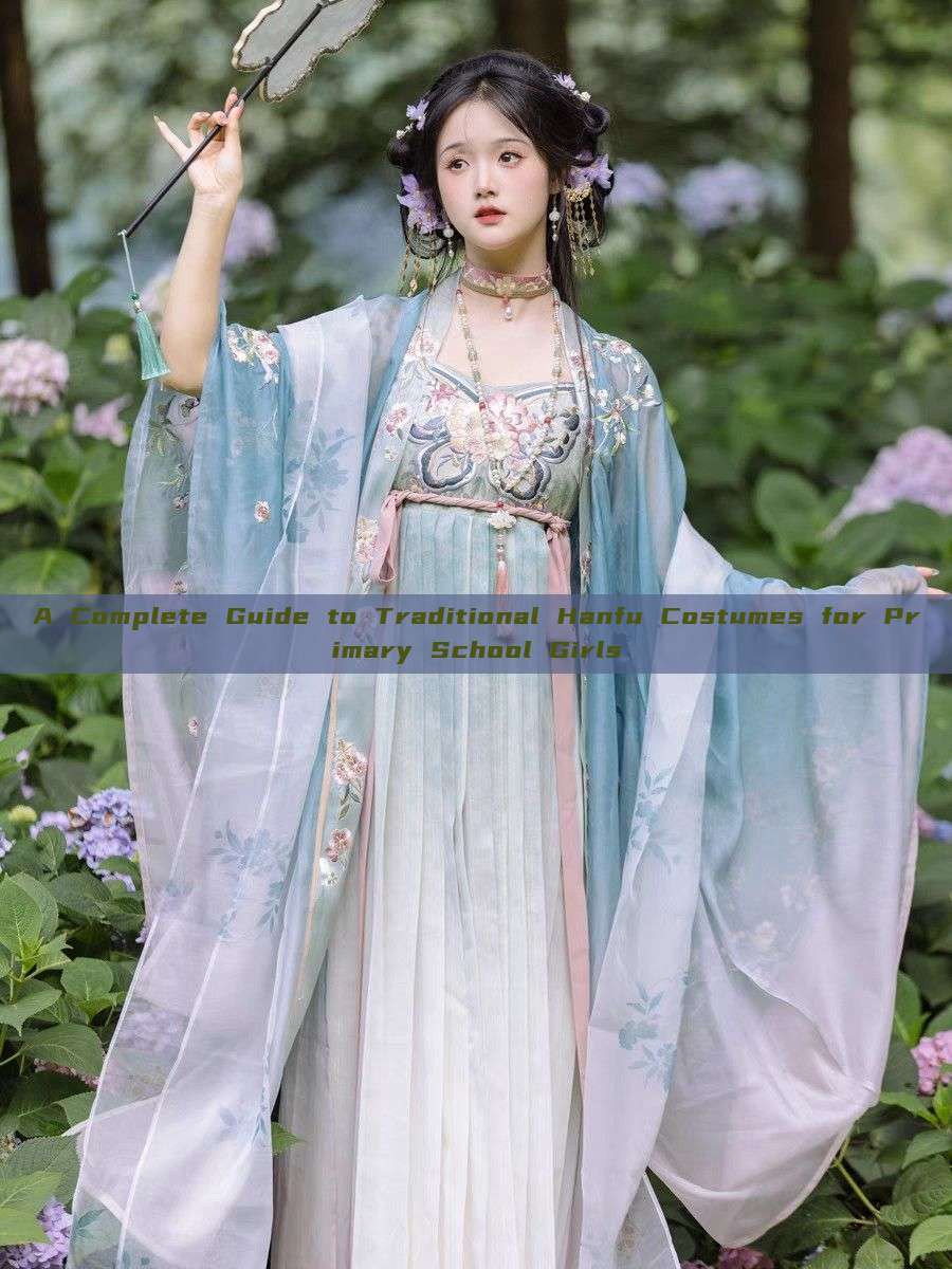 A Complete Guide to Traditional Hanfu Costumes for Primary School Girls