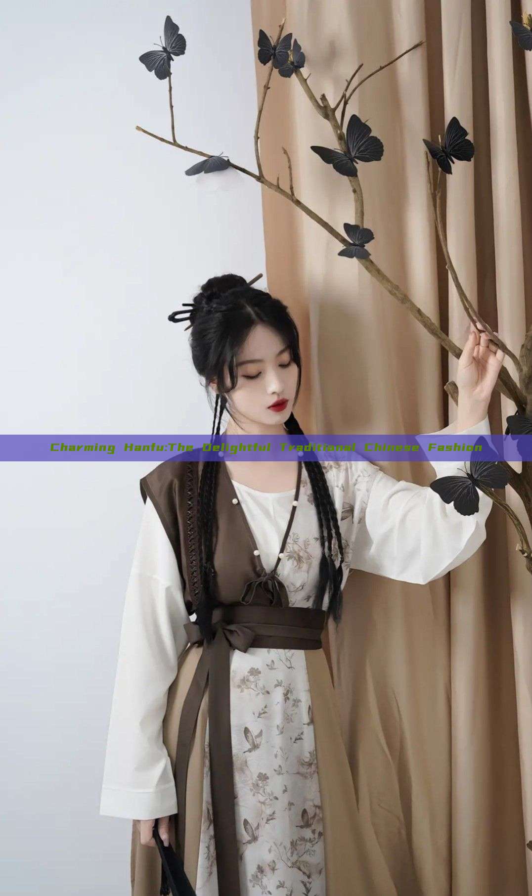 Charming Hanfu:The Delightful Traditional Chinese Fashion Charming Hanfu:The Delightful Traditional Chinese Fashion