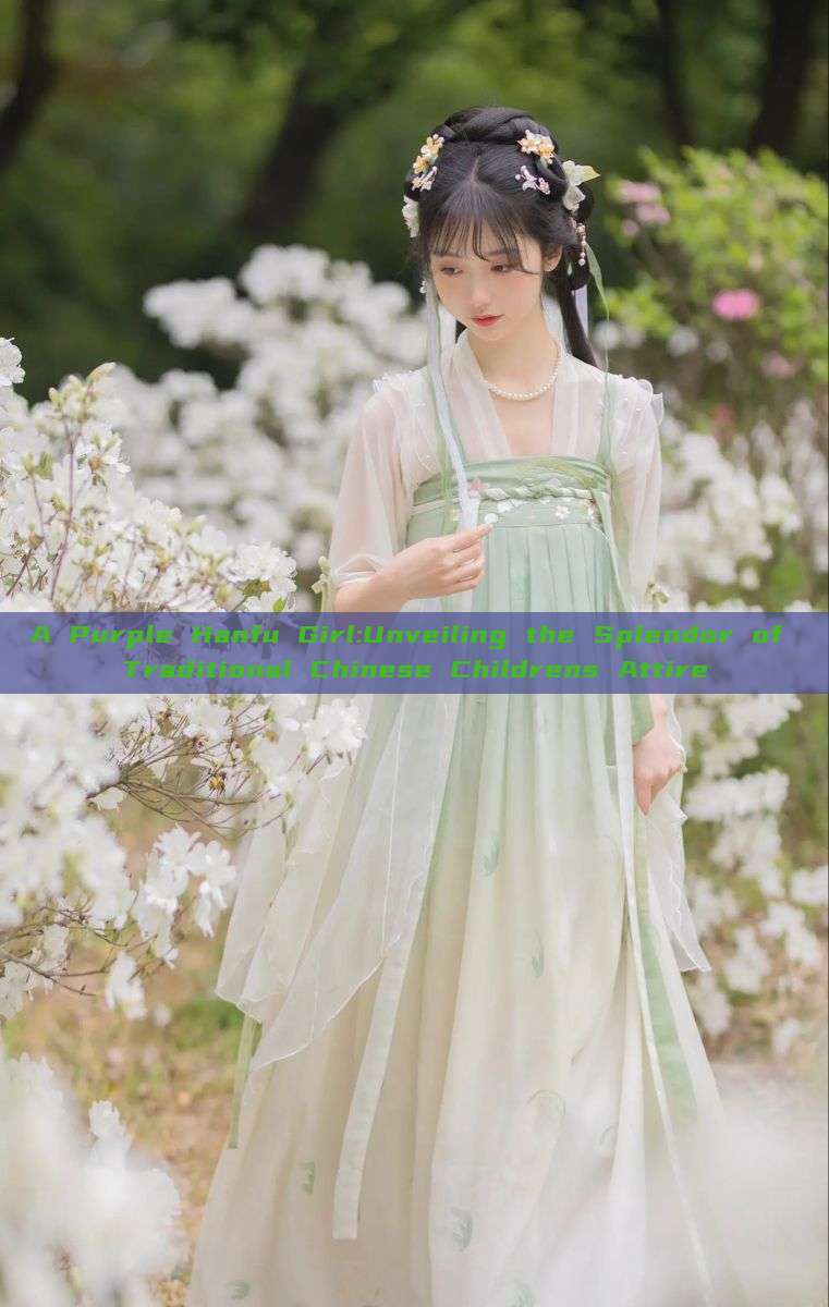 A Purple Hanfu Girl:Unveiling the Splendor of Traditional Chinese Childrens Attire A Purple Hanfu Girl:Unveiling the Splendor of Traditional Chinese Childrens Attire