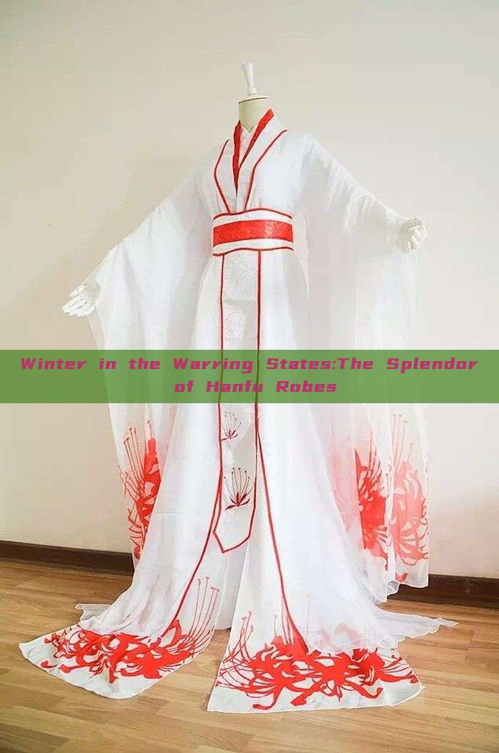 Winter in the Warring States:The Splendor of Hanfu Robes Winter in the Warring States:The Splendor of Hanfu Robes