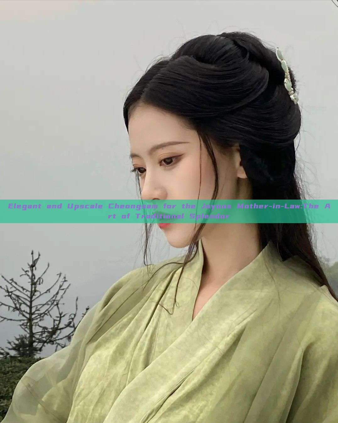 Elegant and Upscale Cheongsam for the Joyous Mother-in-Law:The Art of Traditional Splendor Elegant and Upscale Cheongsam for the Joyous Mother-in-Law:The Art of Traditional Splendor