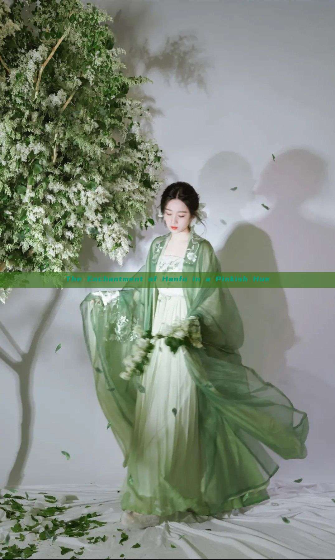 The Enchantment of Hanfu in a Pinkish Hue The Enchantment of Hanfu in a Pinkish Hue