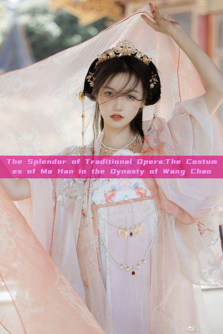 The Splendor of Traditional Opera:The Costumes of Ma Han in the Dynasty of Wang Chao The Splendor of Traditional Opera:The Costumes of Ma Han in the Dynasty of Wang Chao