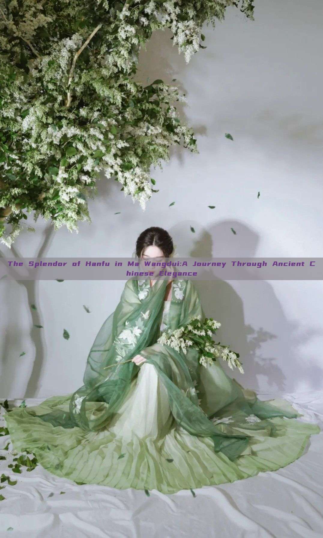 The Splendor of Hanfu in Ma Wangdui:A Journey Through Ancient Chinese Elegance The Splendor of Hanfu in Ma Wangdui:A Journey Through Ancient Chinese Elegance