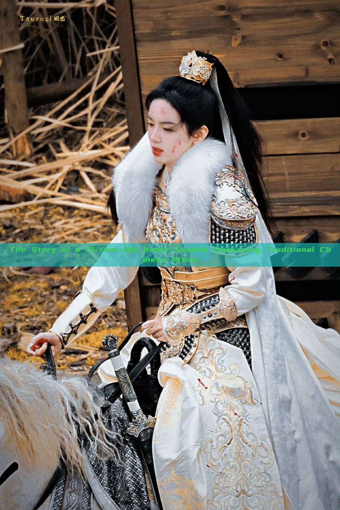 The Story of a 13-Year-Old Hanfu Student Embracing Traditional Chinese Attire The Story of a 13-Year-Old Hanfu Student Embracing Traditional Chinese Attire