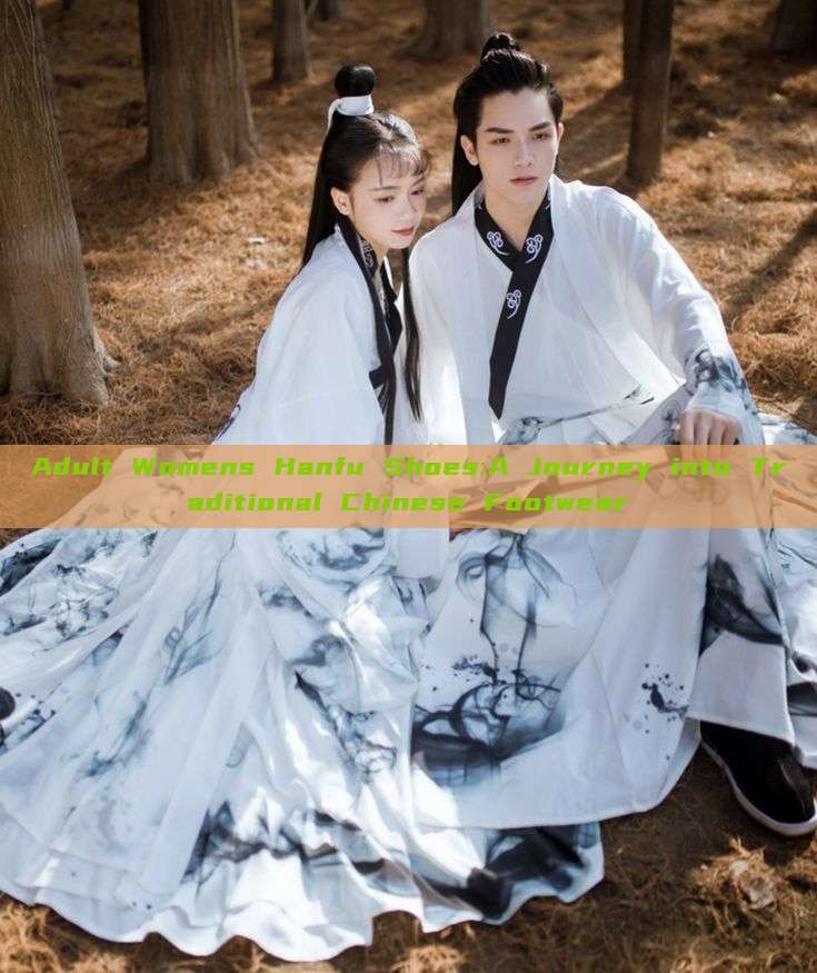 Adult Womens Hanfu Shoes:A Journey into Traditional Chinese Footwear Adult Womens Hanfu Shoes:A Journey into Traditional Chinese Footwear