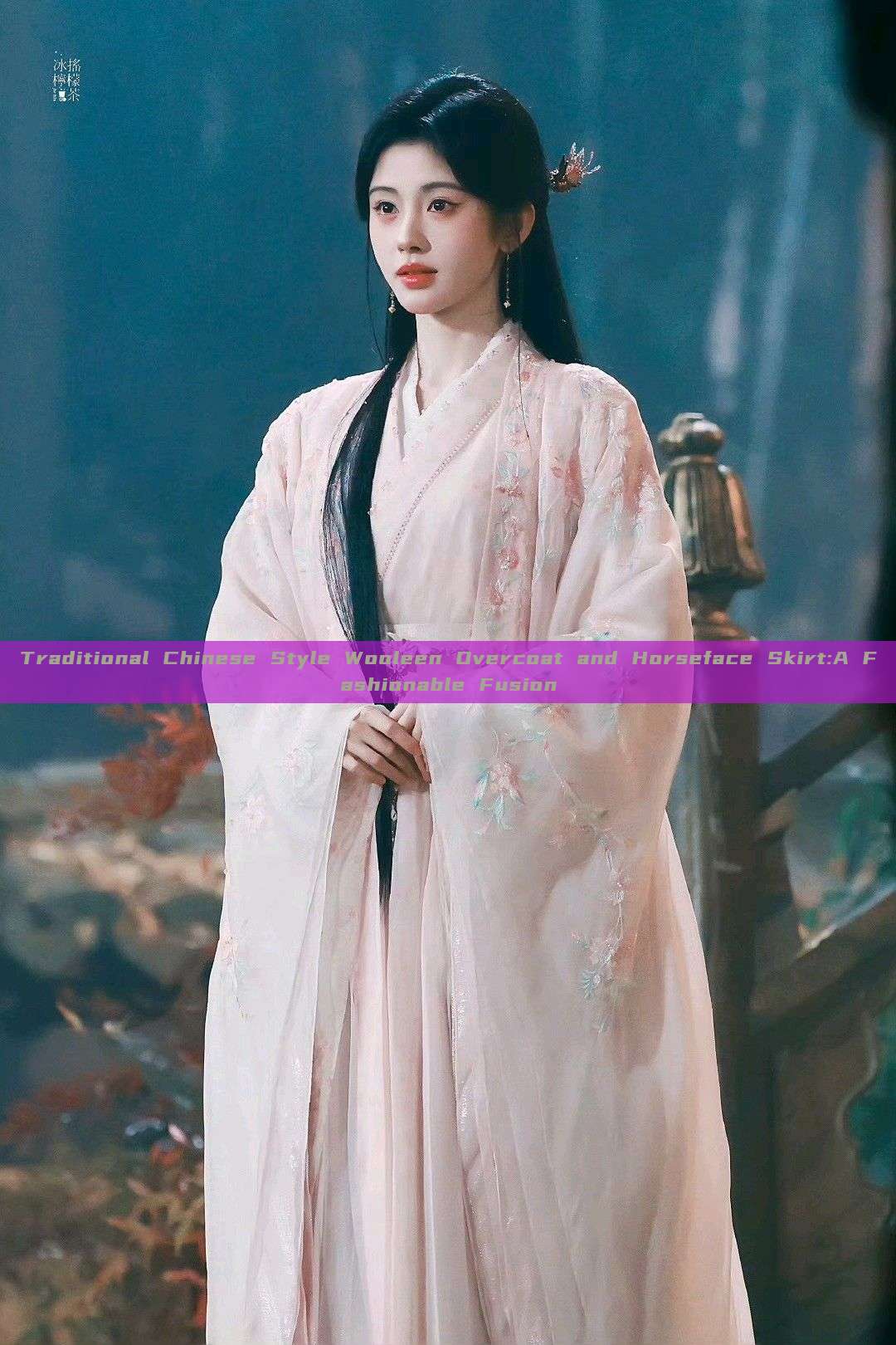 Traditional Chinese Style Wooleen Overcoat and Horseface Skirt:A Fashionable Fusion Traditional Chinese Style Wooleen Overcoat and Horseface Skirt:A Fashionable Fusion
