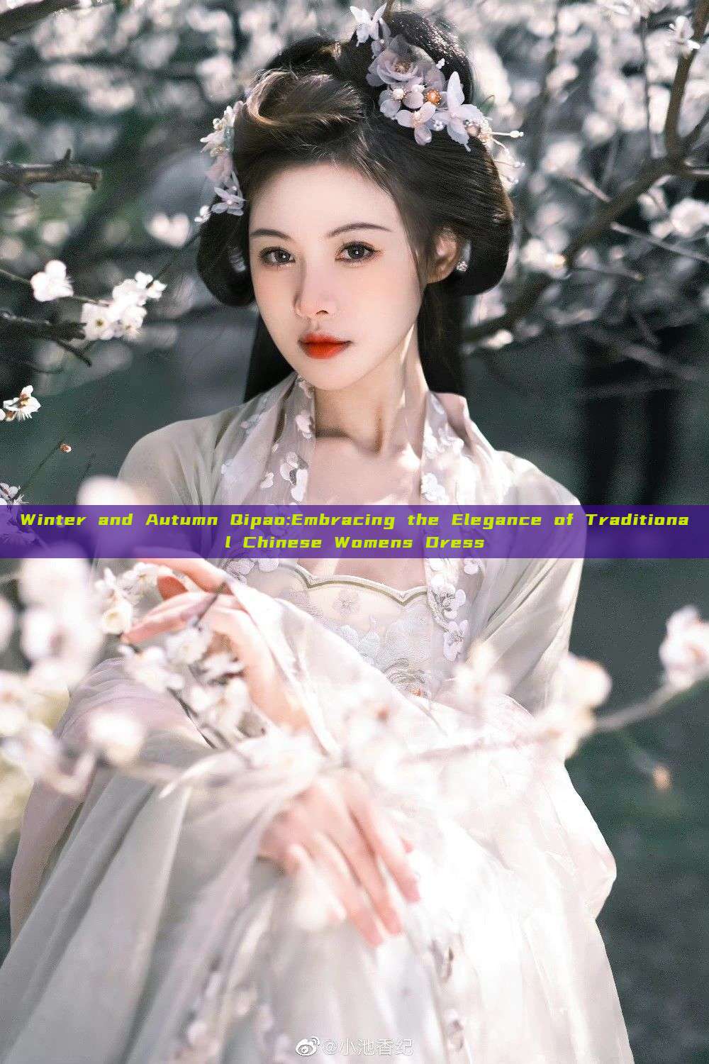 Winter and Autumn Qipao:Embracing the Elegance of Traditional Chinese Womens Dress