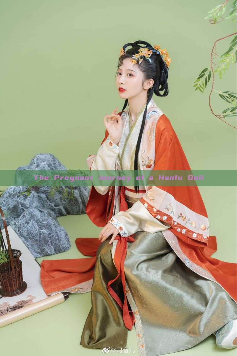 The Pregnant Journey of a Hanfu Doll The Pregnant Journey of a Hanfu Doll