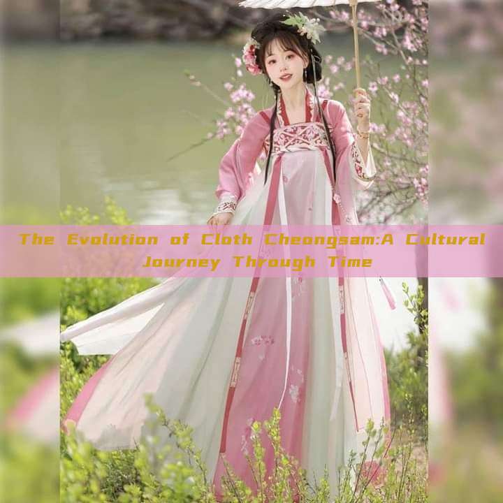 The Evolution of Cloth Cheongsam:A Cultural Journey Through Time The Evolution of Cloth Cheongsam:A Cultural Journey Through Time