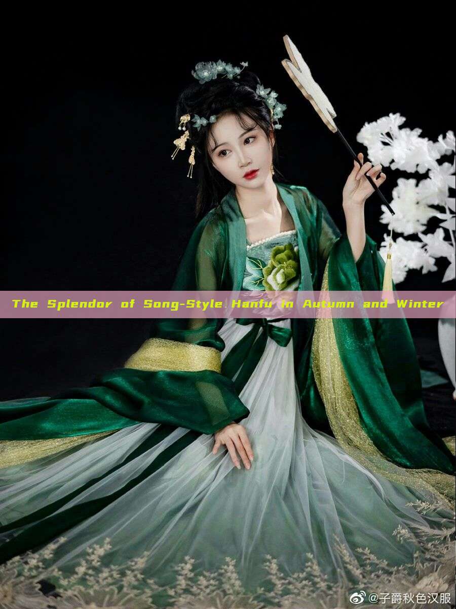 The Splendor of Song-Style Hanfu in Autumn and Winter The Splendor of Song-Style Hanfu in Autumn and Winter