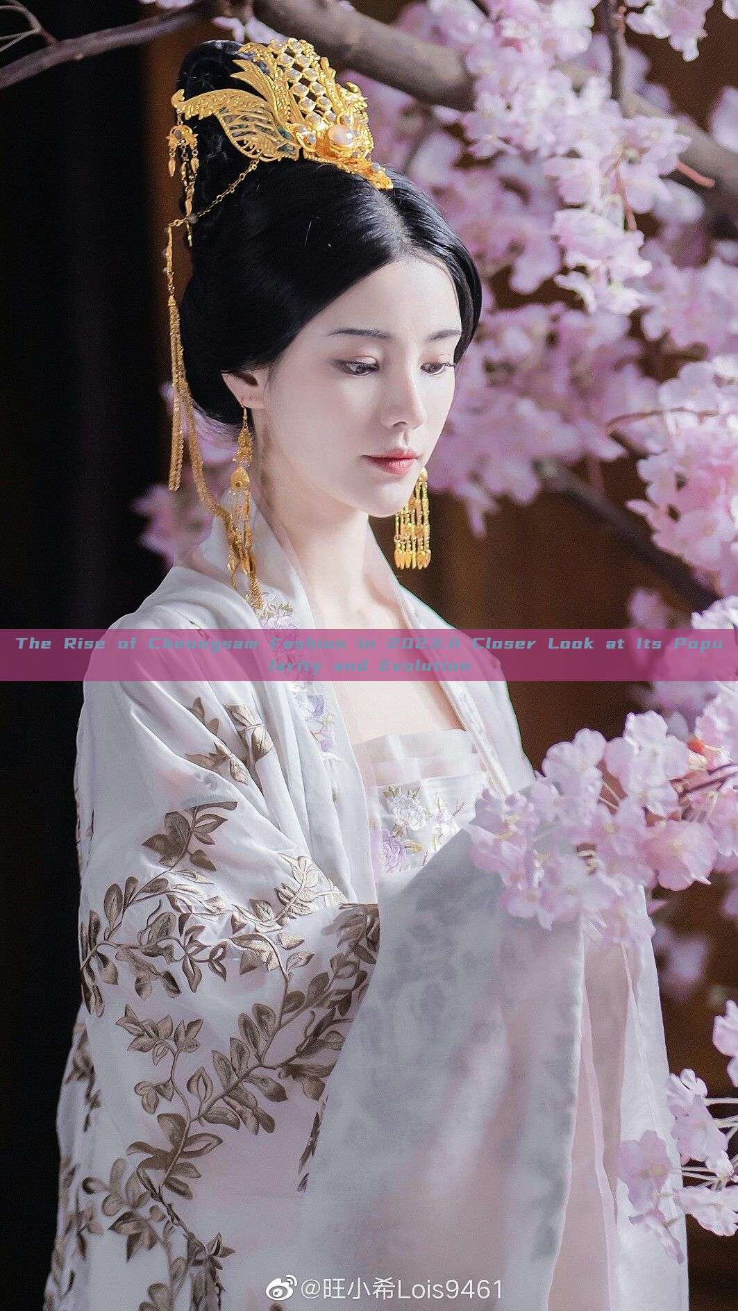 The Rise of Cheongsam Fashion in 2023:A Closer Look at Its Popularity and Evolution