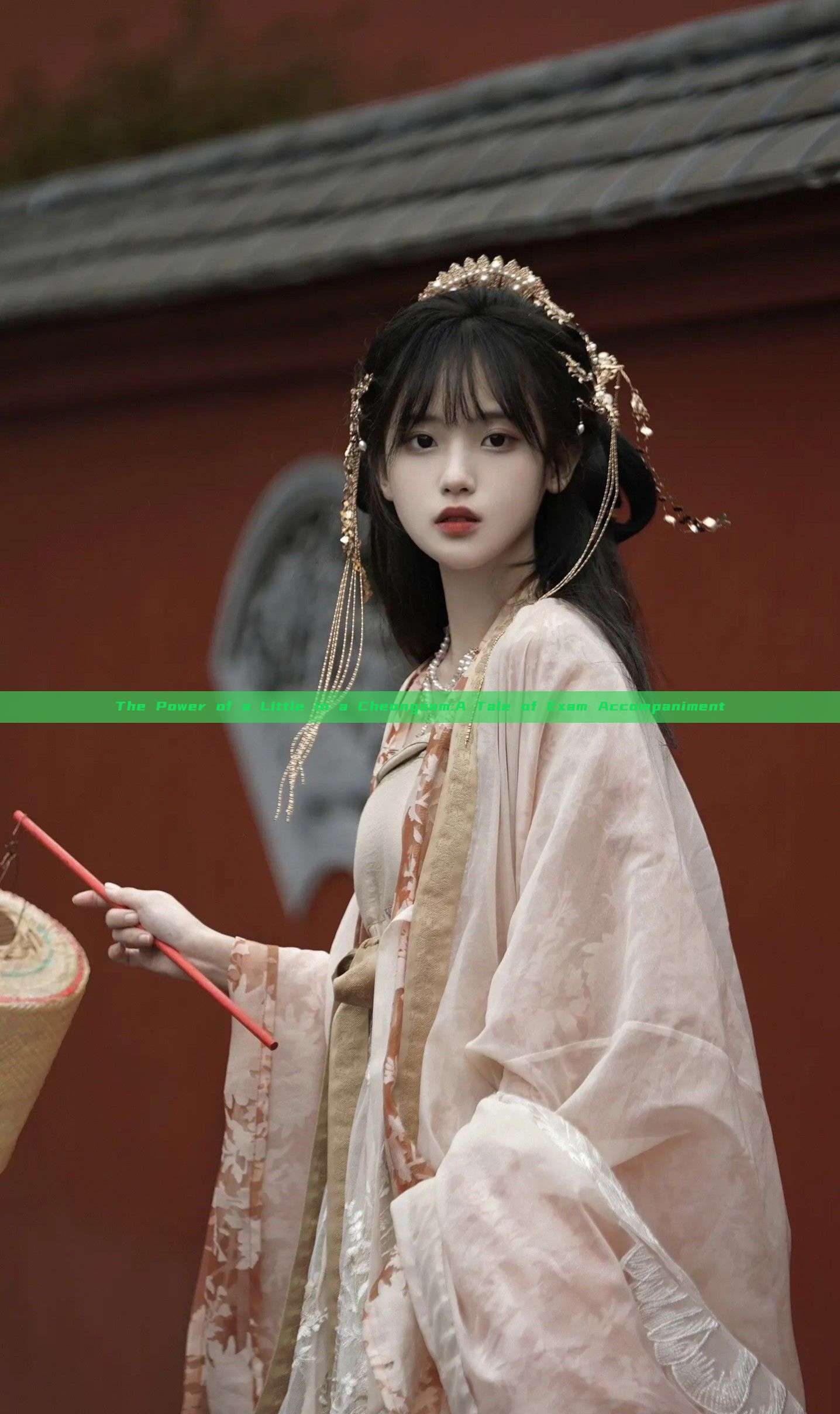 The Power of a Little in a Cheongsam:A Tale of Exam Accompaniment The Power of a Little in a Cheongsam:A Tale of Exam Accompaniment