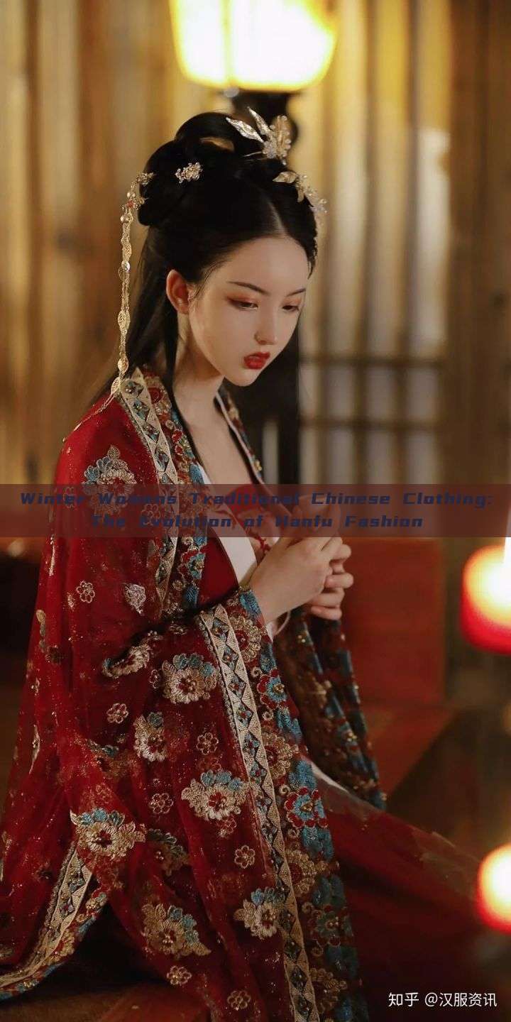 Winter Womens Traditional Chinese Clothing:The Evolution of Hanfu Fashion Winter Womens Traditional Chinese Clothing:The Evolution of Hanfu Fashion
