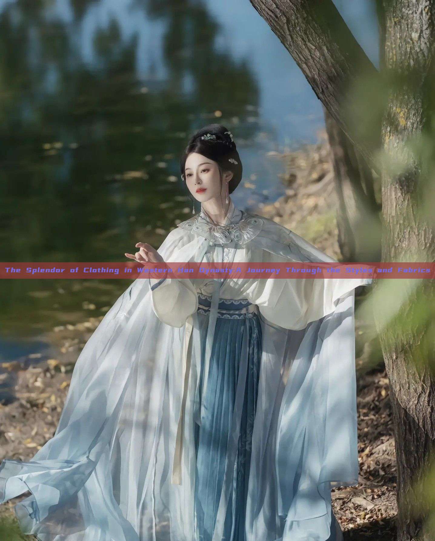 The Splendor of Clothing in Western Han Dynasty:A Journey Through the Styles and Fabrics The Splendor of Clothing in Western Han Dynasty:A Journey Through the Styles and Fabrics