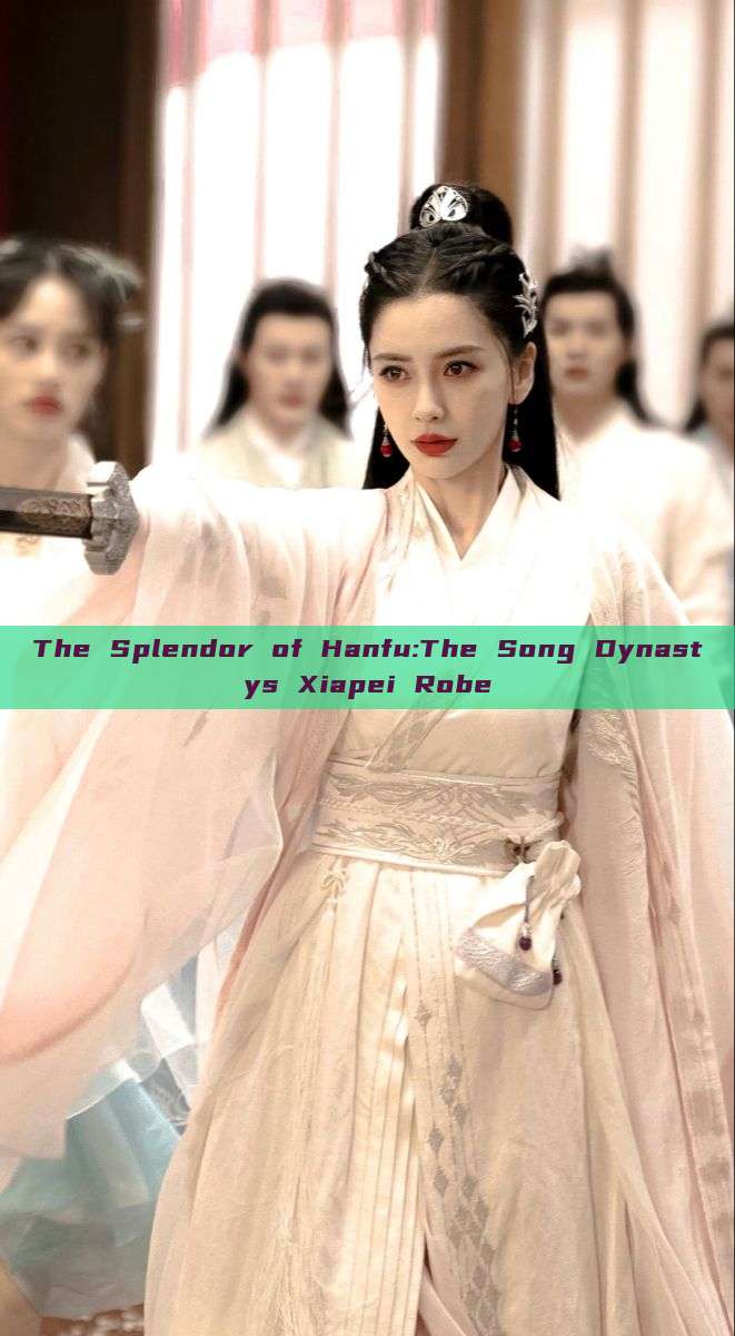 The Splendor of Hanfu:The Song Dynastys Xiapei Robe The Splendor of Hanfu:The Song Dynastys Xiapei Robe
