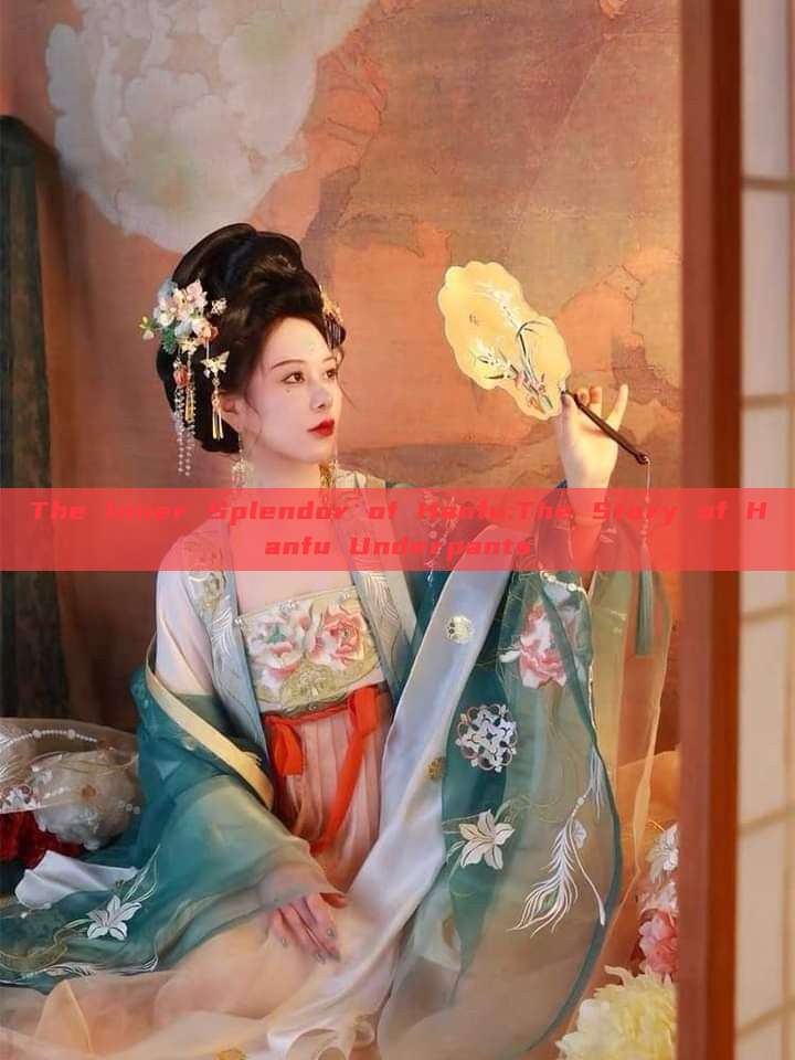 The Inner Splendor of Hanfu:The Story of Hanfu Underpants The Inner Splendor of Hanfu:The Story of Hanfu Underpants